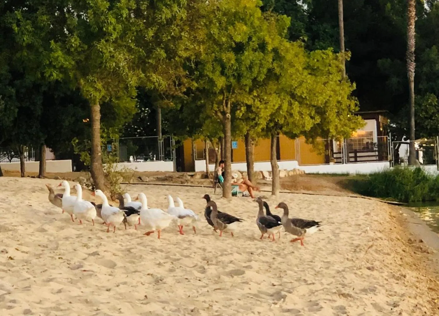 Una Casa En El Lago Arcos de la Frontera Casa de Férias